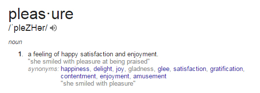 pleasure Pleasure Store