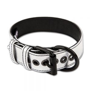 Bondage Fetish Metallic Pup Collar With LeashBondage Fetish Metallic Pup Collar With LeashBondage Fetish Metallic Pup Collar With Leash