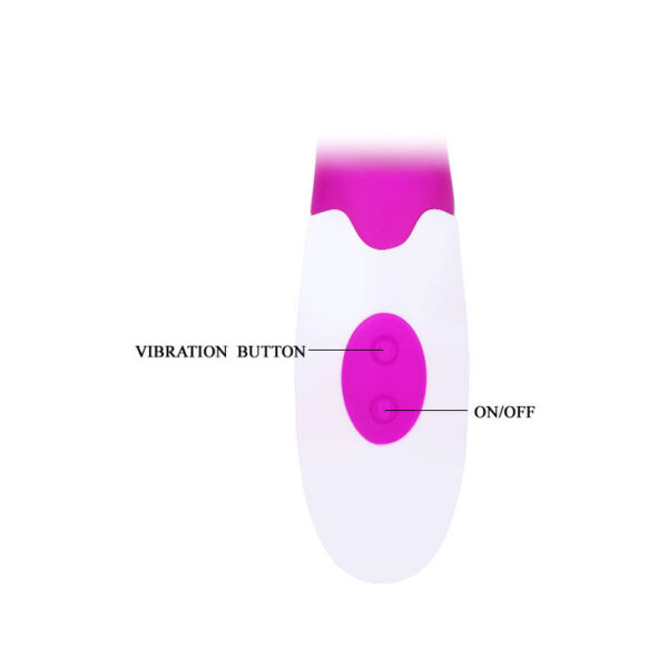 Pretty Love Flirtation - Andre Rabbit Vibrator Purple - Image 6