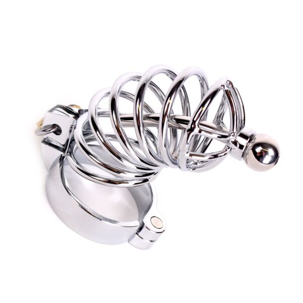 Chastity Cage With Penis Stick - Image 3