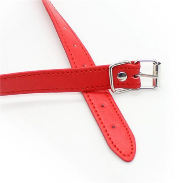 Fetish Art – Red Breathable Ball Gag - Image 3