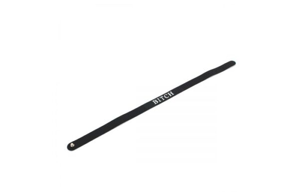 Silicone Choker - BITCH - Image 2