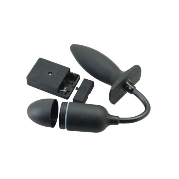 Toyz4Lovers - Remote Anal Plug & Bullet Double Impact - Image 4